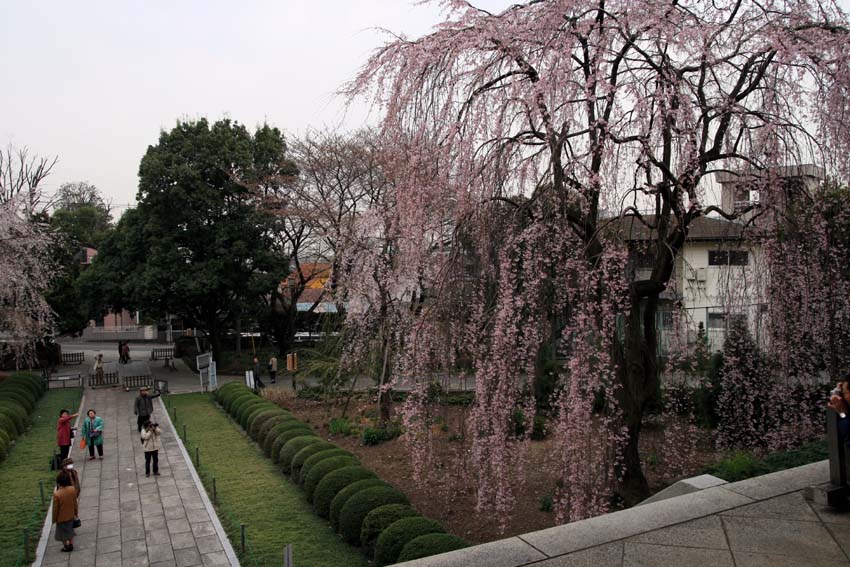 2007東郷寺002.jpg