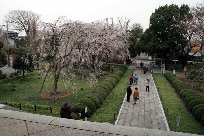 2007東郷寺003.jpg